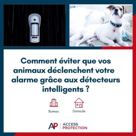 évitez que vos animaux déclenchent votre alarme