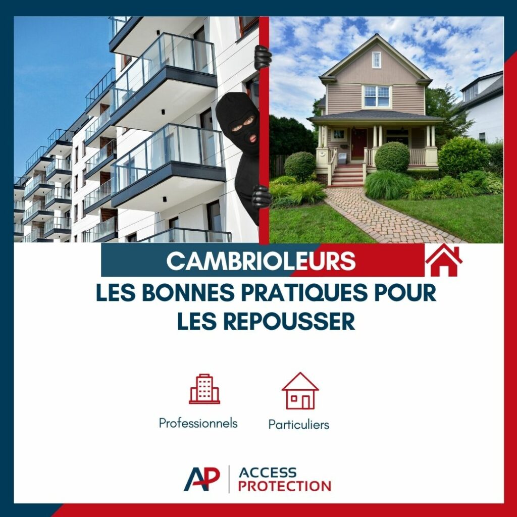 Cambrioleurs