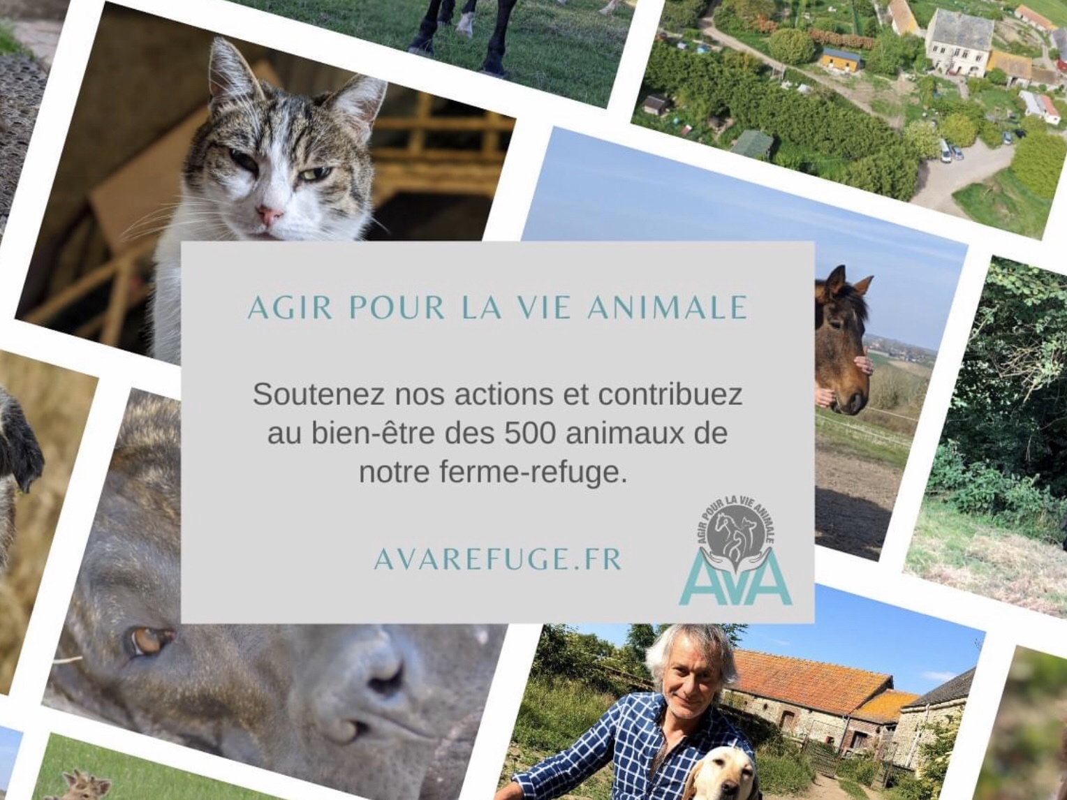 mécénat et sponsoring