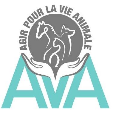mécénat et sponsoring