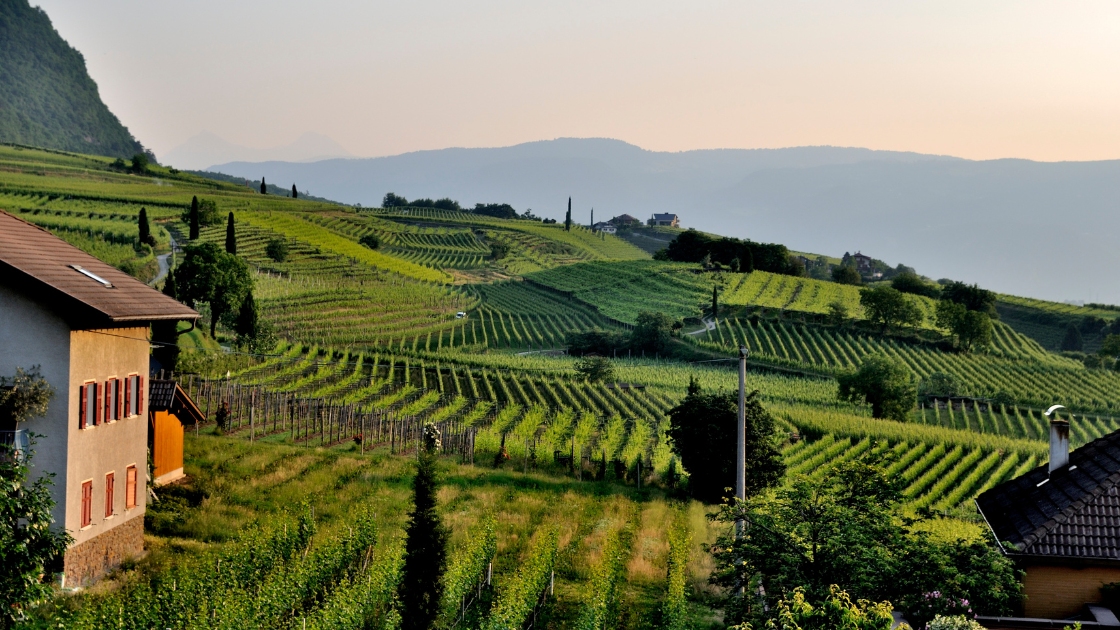 exploitations agricoles