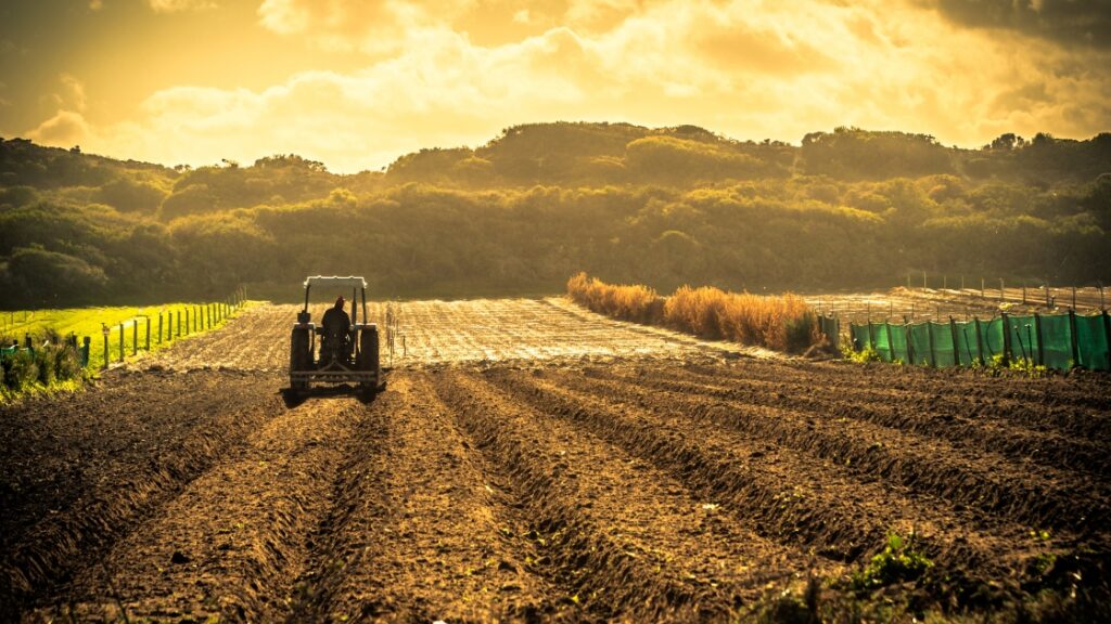 exploitations agricoles