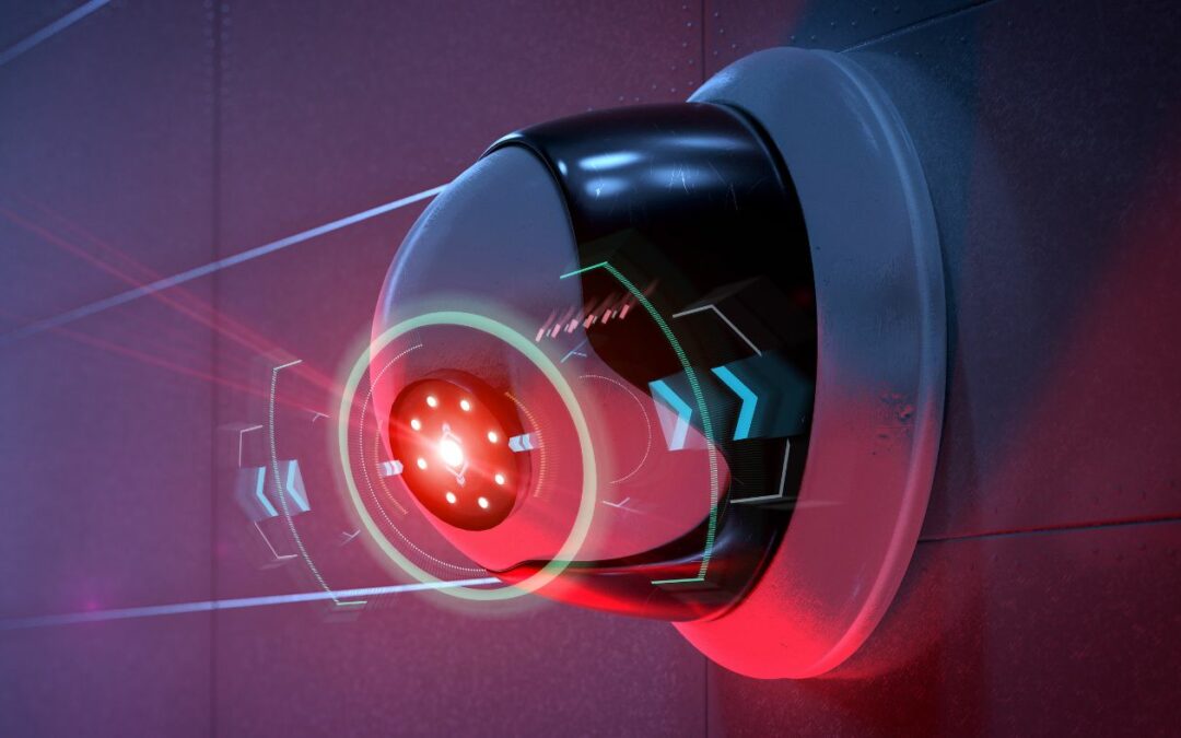 vol vu par caméra