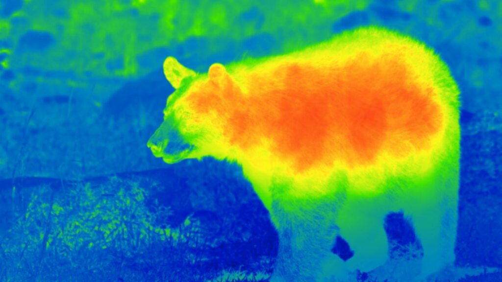 caméra surveillance thermique
